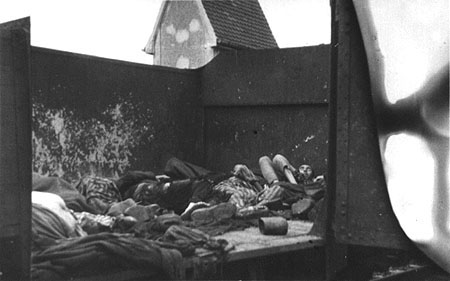 Dachau bodies