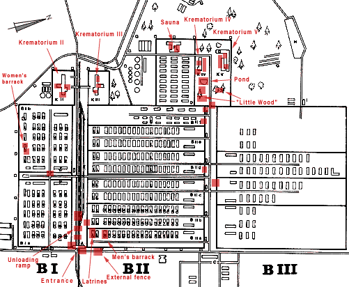Map Birkenau 