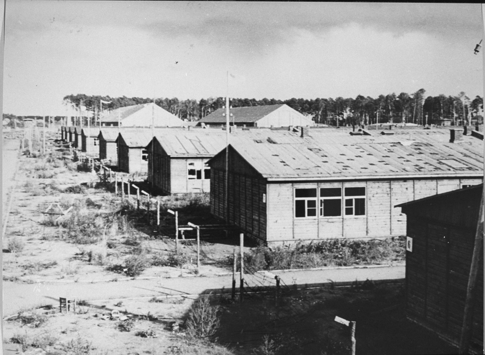 Stuthoff Concentration Camp | Holocaust survivor post-war resettlement